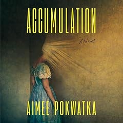 Accumulation Audiobook By Aimee Pokwatka cover art