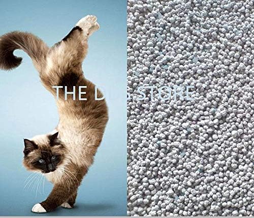 The DDS Store Natural Bentonite Clay Cat Litter (5KG)
