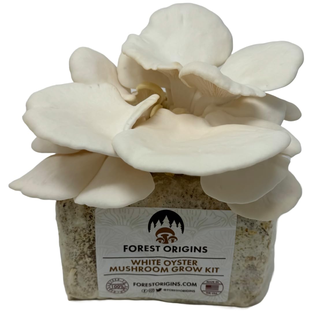 Forest Origins White Oyster Mushroom Grow Kit, Beginner Friendly & Easy to Use, Grows in 10 Days | Handmade in California, USA | Top Gardening Gift, Unique Gift
