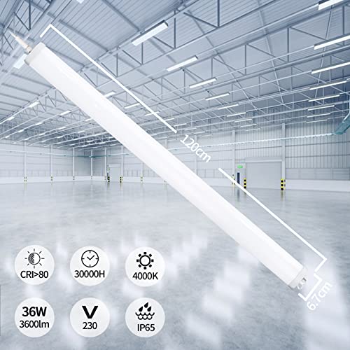 Réglette LED Étanche IP65 : Dites Adieu à l'Humidité dans Votre Cave