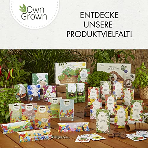 OwnGrown Saatgut Kalender 2026 Wandkalender A4 - Gartenkalender mit 24 Sorten Samen - Monatskalender für Kräuter, Gemüse, Obst, Blumen - Adventskalender 2026 Frauen und Männer