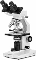 AmScope メカニカルステージと40X-2000X双眼生物顕微鏡 Amazon.co.jp: AmScope メカニカルステージと40X-2000X双眼生物