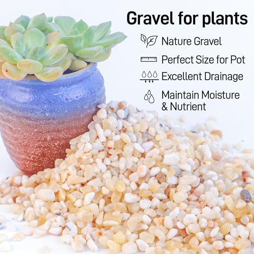 Image of CJGQ 2.4lb Aquarium Gravel for Plants,1 /5 Inch Natural Decorative River Rocks for Succulent and Cactus Landscaping, Natural Small Rocks for Fish Tanks, Vases & Terrariums