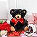 Civaner Valentine Bear Stuffed Animal Gift with Rose Funny Cute Bear Plush Stuffed Animal for Kids Toddler Mother Girlfriend Valentine Birthday Wedding, 11.8 Inches(Black)
