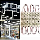Erudite LED Module, Storefront LED Light Box, Inflatable Light Replacement - 100PCS, 49.8Ft, 160LM, IP65, DC12V, 5730SMD (White-7015)