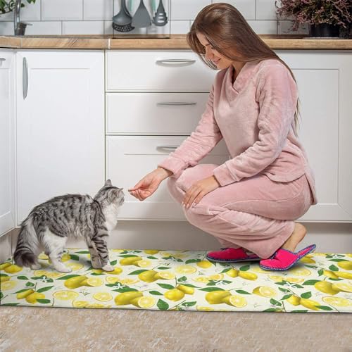 Ghroiep RUG-05 2 Piece Lemon Kitchen Decor Rugs Set, Farmhouse Country Kitchen Rugs And Mats Non Skid Washable Absorbent Microfiber Kitchen Accessories Decoration Floor Mats 17 Inchx47 Inch+17 Inchx30 Inch thumb #3