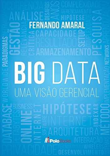 Big Data: Uma Visão Gerencial: Para Executivos, Consultores e Gerentes de Projetos