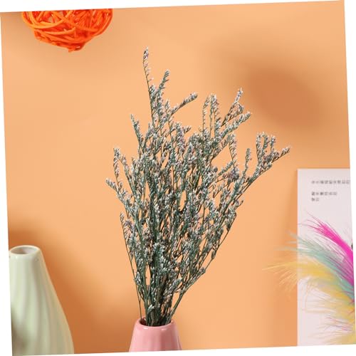 Ramo de flores secas Gypsophila para decoración miniatura 5