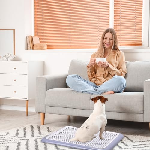 Image of Mifoci 1 Pcs Dog Potty Tray Mesh Puppy Training Pad Holder Floor Protection Portable Pee Pad Pet Toilet Training Tray Litter Box Corner for Medium and Large Dogs (25.6 x 18.9 Inch,Gray)