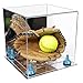 Better Display Cases Acrylic Versatile Display Case - Medium Square Box with Mirror Case, Light Blue Risers and Mirror Base 11