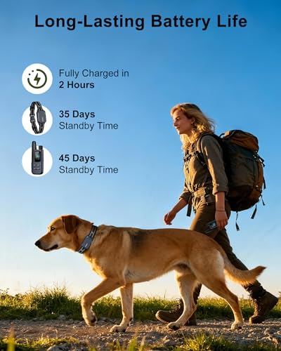 80% Off Dog Shock Collar - 4500FT Range with Remote - Image 7