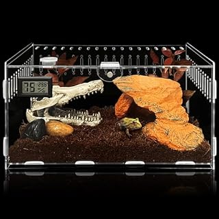 PORFOYO terrarium acrylique 30 x 20 x 15 cm transparent