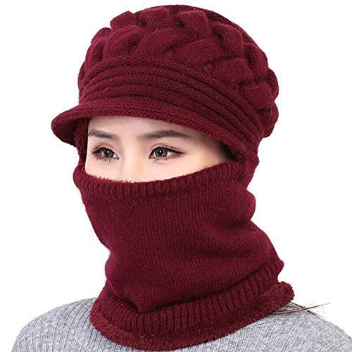 Atipriya Unisex Full Face Gear Fur Lined Ninja Mask for Cold Weather, Motorcycle, Running, Ski, Riding, Hunting (L, Assorted Color)