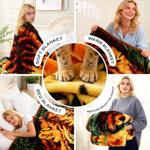 Image of JYK Faux Mink Fleece Blanket King, 520GSM, 83 inchx91 inch, Tiger & Tiger Stripes | 5.7 lbs, Korean Style Blanket, 2 Ply Reversible, A&B Print, Silky Plush Soft, Medium Thick & Warm for Fall Winter