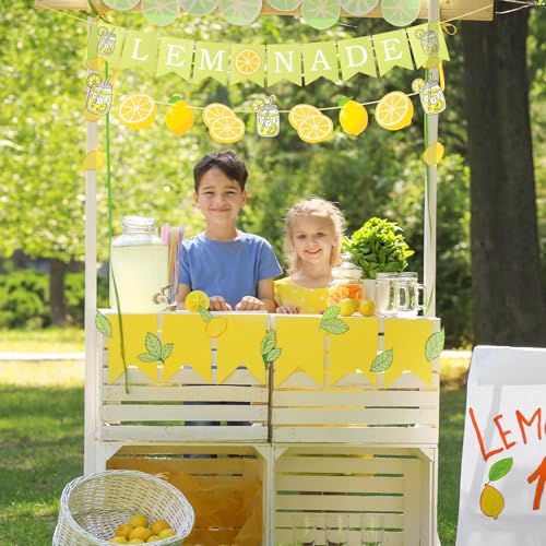 Image of Lemonade Banner for Lemonade Stand Decorations, Lemon Garland Sign Summer Lemon Party Decorations Lemonade Party Supplies Decor