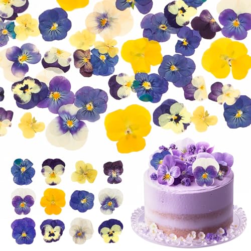 40 Stück 8 Arten natürlich getrockneteGepresste Essbare Blumen Dekorieren von Kuchenaufsätzen Mix aus dreifarbigen Viola Cocktails DIY-Kunsthandwerk Nagel Anhänger Scrapbooking-Dekorationen