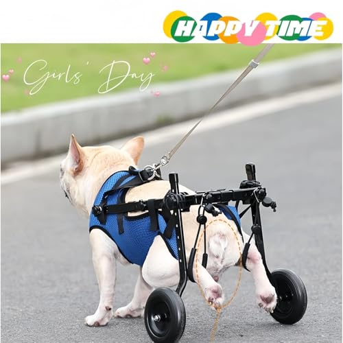 Image of Adjustable Lightweight Dog Wheelchair for Back Legs & Cat Mobility Aid - Small Dog Wheelchair Cart with Wheels for Disabled Hind Legs, Hip Support & Rehabilitation (M-(Suitable for 5 to 10 kg))