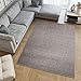 Produktbild TAPISO Nizza Teppich Silbergrau Einfarbig Loop-Teppich niedriges Flor Wohnzimmer Schlafzimmer Büro Pflegeleicht Modern 200 x 300 cm