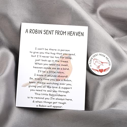WSNANG Pocket Hug Robin Charm Token Bereavement Gift Sympathy Gift A Robin Sent From Heaven Condolences Card Letter from Heaven (Robin Token-C)3