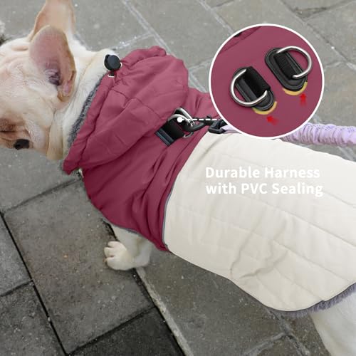 Image of JoyDaog Detachable Hooded Dog Coat with Harness for Small Dogs,Red XS | Warm Fleece Lined Puppy Jacket for Winter Cold Weather,Snowsuit with 2 D-Rings Easy for Daily Walk