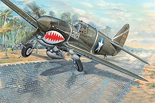 Trumpeter 1:32 - P-40F War Hawk, Coloured, Small - Image 3