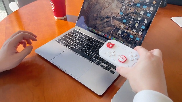 Amazon.com: AceGamer Wireless Pocket Controller for Nintendo