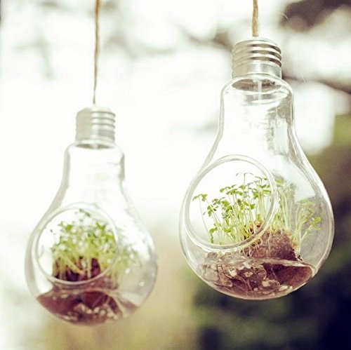 Bulbo di vetro a forma di lampadina da appendere