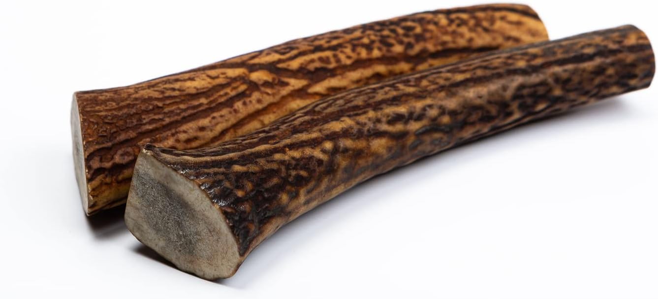 Asta de Ciervo Dura para Perros - Asta de Ciervo de Ciervo para Perros Hecha de Cornamenta de Ciervo Rojo cuidadosamente seleccionada, Rica en proteínas y minerales. (2 Piezas, Talla M)