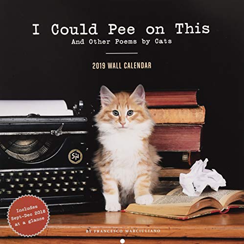 Télécharger I Could Pee on This 2019 Calendar: And Other Poems by Cats: Includes Sept-dec 2018 at a Glance Francais PDF