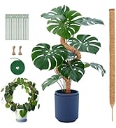 Amazon | 園芸 支柱 120cm 太め モンステラ支柱 ココスティック DIY