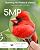 COOAU 5MP Smart Bird Feeder with Camera Solar Powered, Outdoor Bird House Cam with 11,000+ AI Birds Species Identification, 3K UHD Live Video Watching, Instant Notifications,Ideal Gift for Bird Lovers