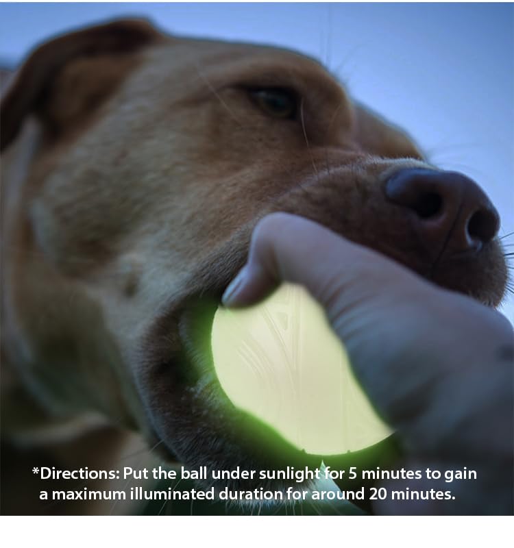 SKIPDAWG Neon Glow Ball, leuchtet im Dunklen, für Hunde, hochwertiger TPR-Kunststoff, mit Quietscher, sehr gut für Ballschleuder