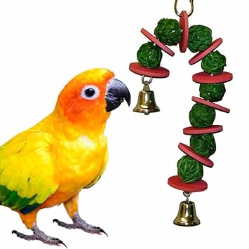 Super Bird Creations 10 by 4-Inch Vine Ball Candy Cane Bird Toy, Small