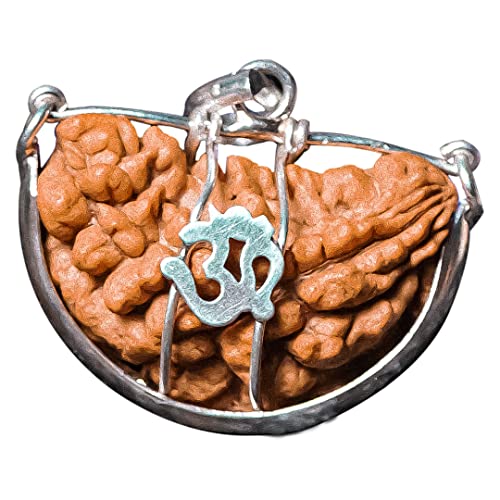 Rudralife Ek Mukhi Rudraksha Mala With Real Silver Capping For Men And Women|One Faced Rudraksha|Original Lab Tested|Certified Natural Rudraksha|By Rudralife (B09Y62L6WW) Amazon Price History, Amazon Price Tracker