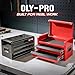 OLY-PRO Mini Toolbox with 2 Drawers and Top Storage, Durable Steel Construction with Ball-Bearing Slides, Multi-Purpose Portable Tool Boxes Case Organizer for Garage, Red