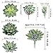 Winlyn 12 Pcs Artificial Succulent Plants Faux Hanging String of Pearls Textured Aloe Echeveria Cactus Succulent Plants Stems Unpotted Floral Arrangements Centerpiece