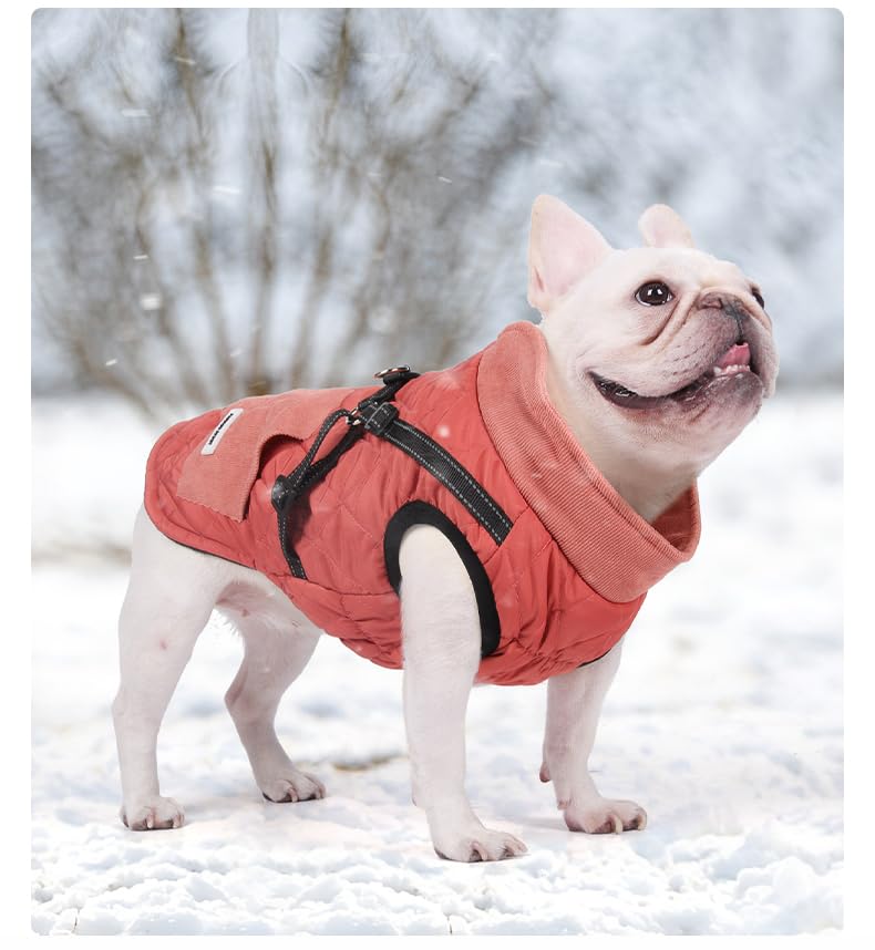 Hundemantel Hundejacken mit Geschirr, Winter warme Jacke Winddicht Haustier Kleidung mit Tasche Design Schneeanzug Hundejacken für kleine mittlere Hunde (Rot, M)