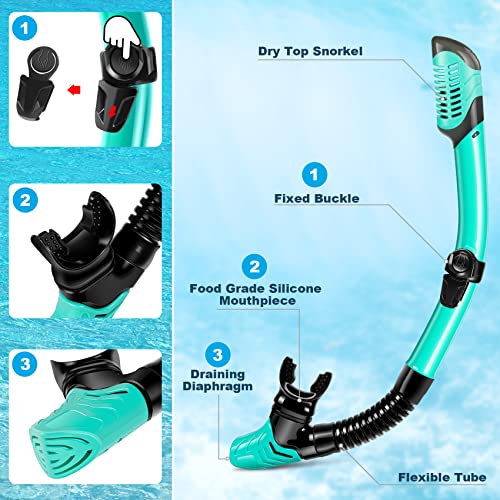 Zeeporte Mask Fin Snorkel Set, Travel Size Snorkeling Gear For Adults With Panoramic View Anti-Fog Mask, Trek Fins, Dry Top Snorkel And Gear Bag For Swimming Training, Snorkeling Kit Diving Packages #TOP4