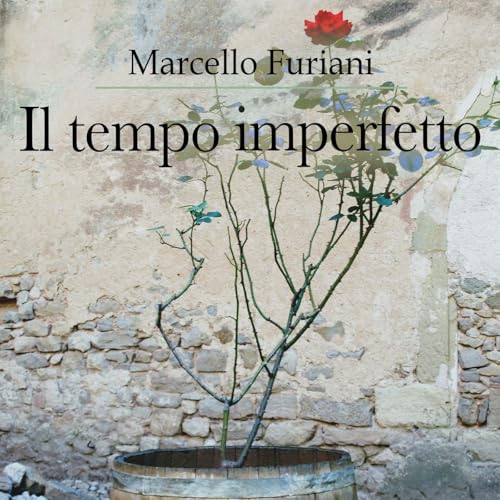 Page de couverture de Il tempo imperfetto - di Marcello Furiani