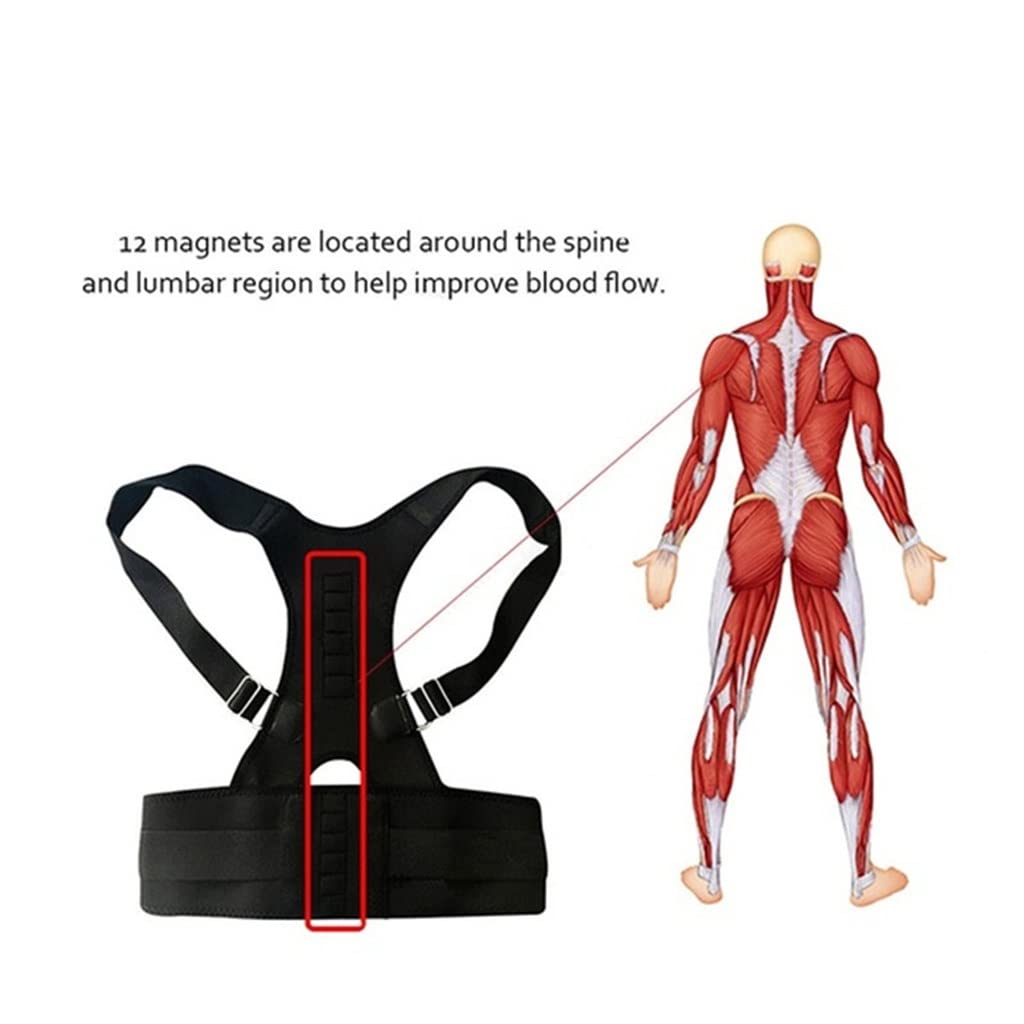 Cintura magnetica regolabile per la postura, supporto per la schiena, correttore per cintura, fascia per spalla e lombare