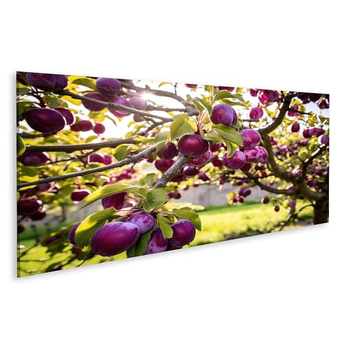 islandburner Tableau sur toile Prunier pleine floraison violet prune lumière du soleil prune images murales poster