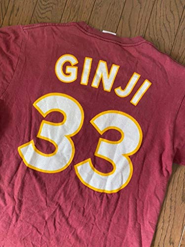 プロ野球 ほーとは何 勝ったときに呟くツイートまとめ やって やられますか