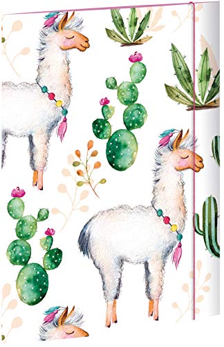 RNK 45347 Lama Chemise à dessin avec élastique 310 x 440 mm Format A3