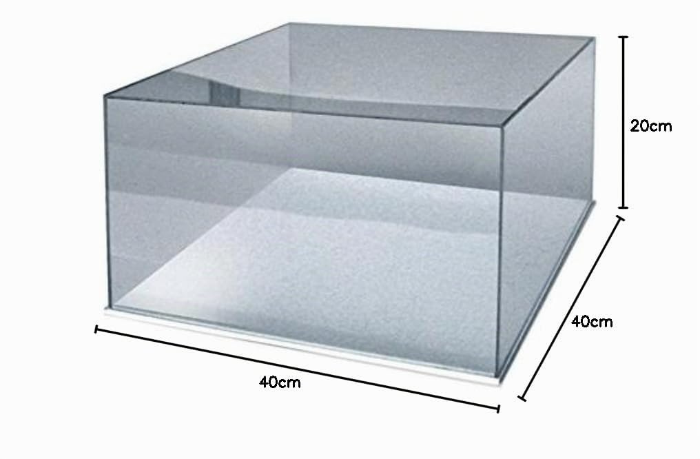 Orus vitrine avec Base Blanche 40 x 40 x 20h