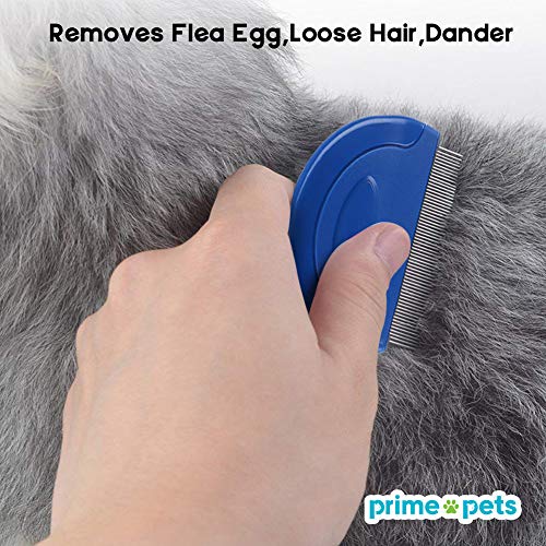 https://m.media-amazon.com/images/I/51mi4FwFHmL._SL500_.jpg