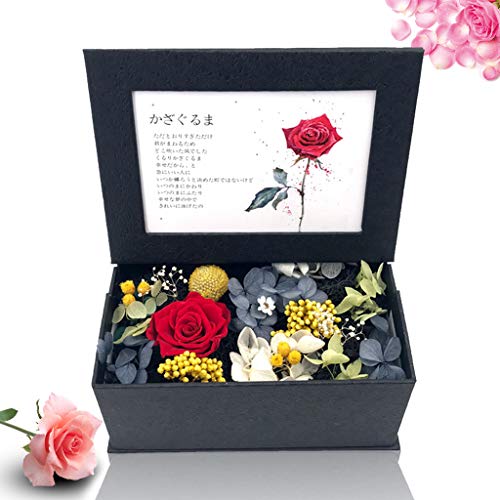 Formemory vU[uht[ t[AW tHgt[ ʐ^ nӃMtg ͂Ȃ o^Cf[ av[g (ubN)