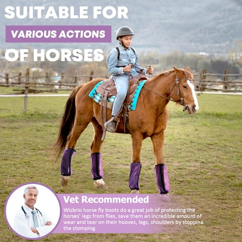 Image of All-Purpose Fine Mesh Horse Fly Boots Breathable Anti-Fly Leggings with Sturdy Support Strips Reduce Annoying Stomping & 360Leg Protection Durable Easy-Clean Material 4-Pack Lavender Purple