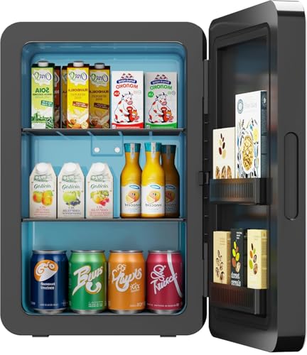 Mini Kühlschrank 22L/30 Dosen Kleiner Kühlschrank mit Kühl- und Heizfunktion Mini-Kühlschränke mit AC+12V DC für Schlafzimmer Büros Autos Tragbare Kühlbox für Getränke Kosmetik Snacks (Schwarz)