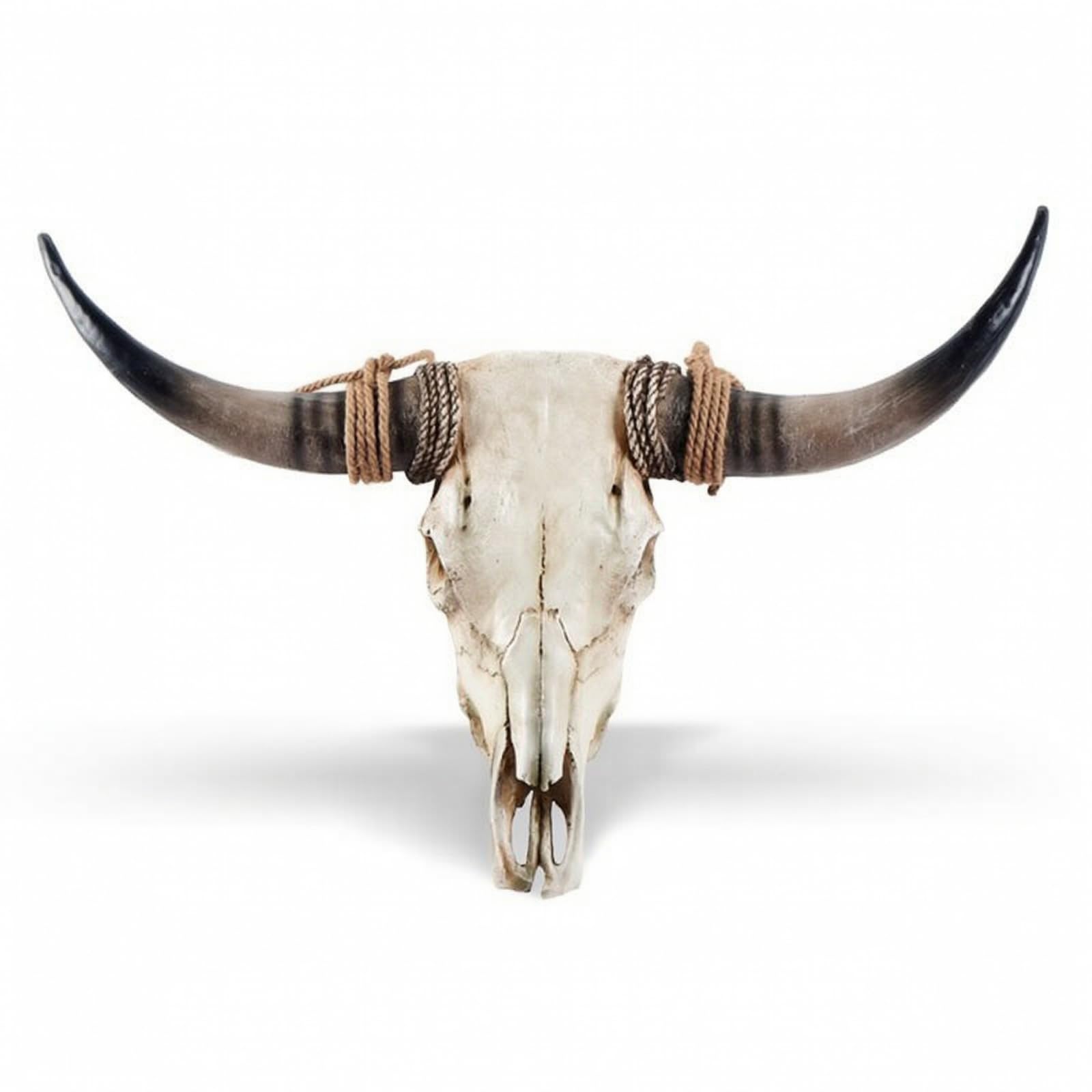 MagiDeal Testa Decorativa da Parete Teschio di Toro Bisonte Scultura Murale Ornamento con Ricurve E Base da Corda in Resina, Corno Marrone, Grande, Integrato