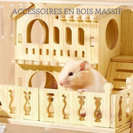 Cages Hamster Hamster Syrien Cage Hamster Nain Acrylique Transparent Petit Animal Cage Tout Bois Massif, pour Cochons d'Inde, Souris, Hamsters Nains Russes Cachette 35 × 26 × 28 cm (Blanc)
